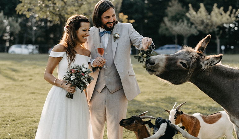 Brautpaar, Wiese, Brautpaar mit Tieren