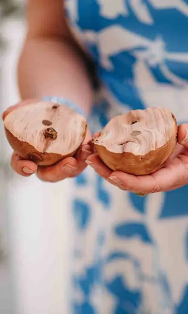 Zwei Hälften einer geöffneten Holzkugel mit glatter Oberfläche und sichtbarem Magneten werden in den Händen gehalten.