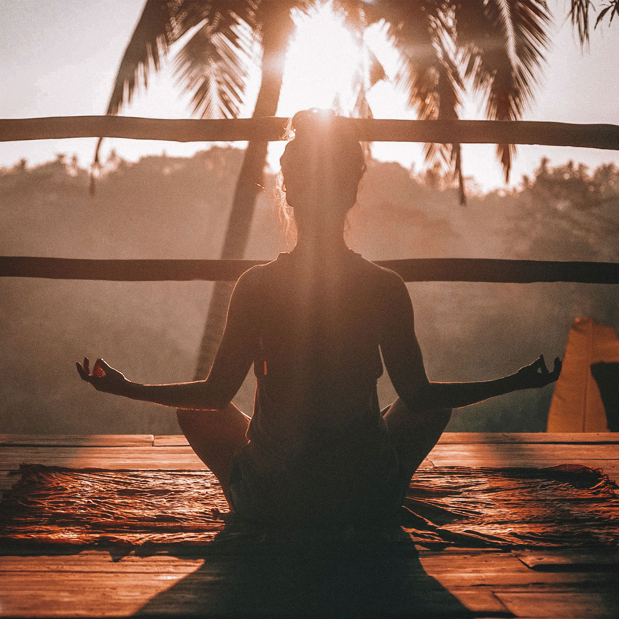Silhouette einer Person in einer Meditationshaltung im Freien, mit dem Sonnenlicht, das durch Palmen im Hintergrund scheint. Die Szene vermittelt Ruhe und Entspannung inmitten der Natur.