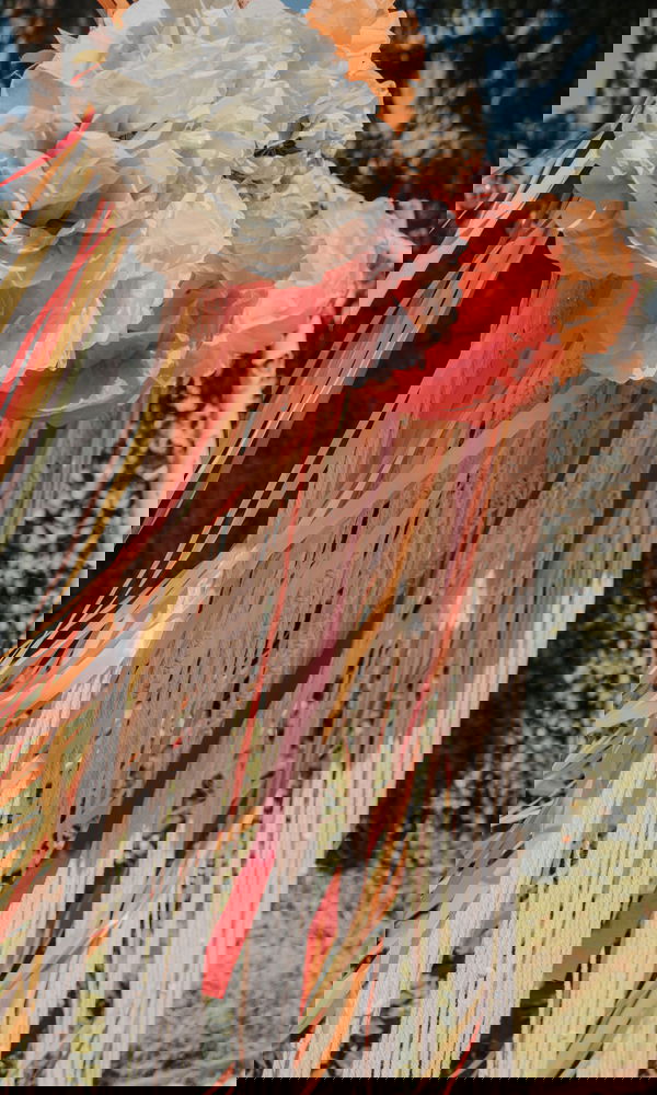 Detailaufnahme eines mit bunten Pompons und langen, farbigen Bändern geschmückten Hochzeits-Traubogens, ideal für eine fröhliche Outdoor-Zeremonie.