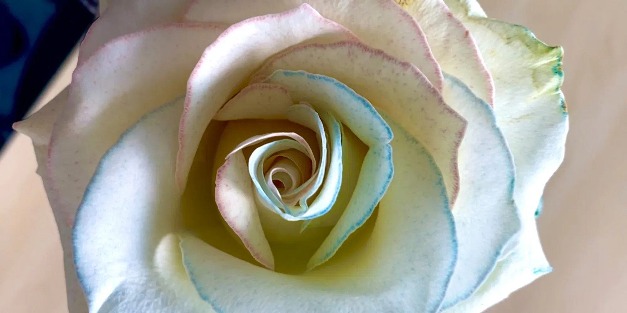 Essbare Kreide Brocken 450g - Natürliche White Mountain Kreide