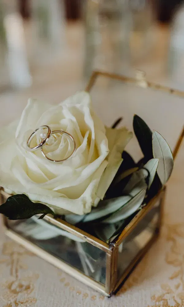 Ringpräsentation auf Blume