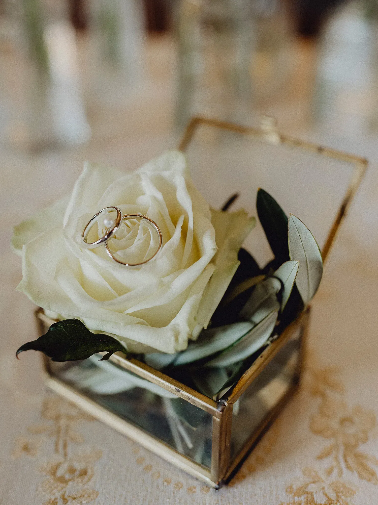 Ringpräsentation auf Blume