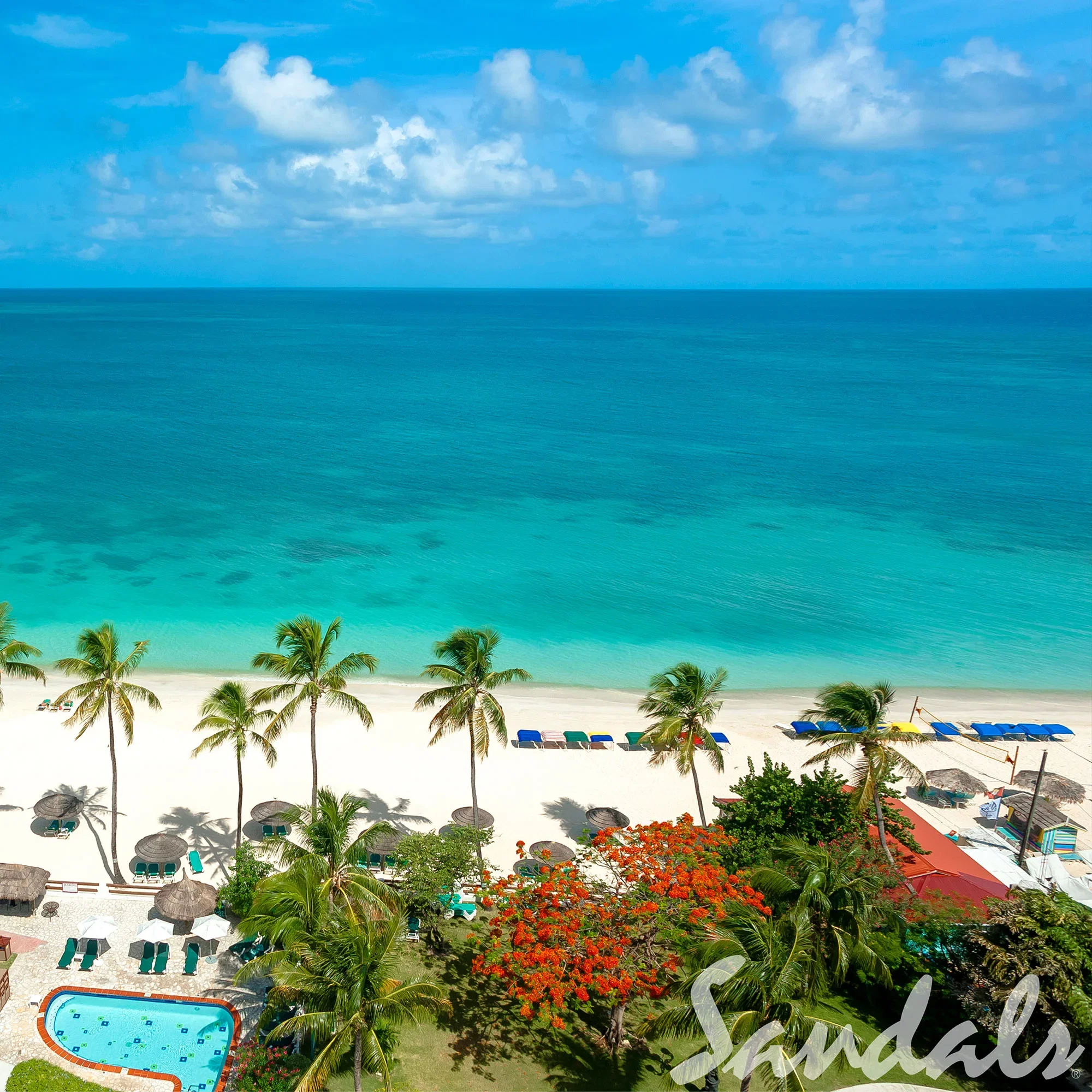 Ein wunderschöner, tropischer Strand mit Palmen und weißem Sand, der in das türkisfarbene Meer von Antigua übergeht. Sonnenliegen und Schirme stehen bereit, um den Gästen einen erholsamen Tag am Meer zu bieten.