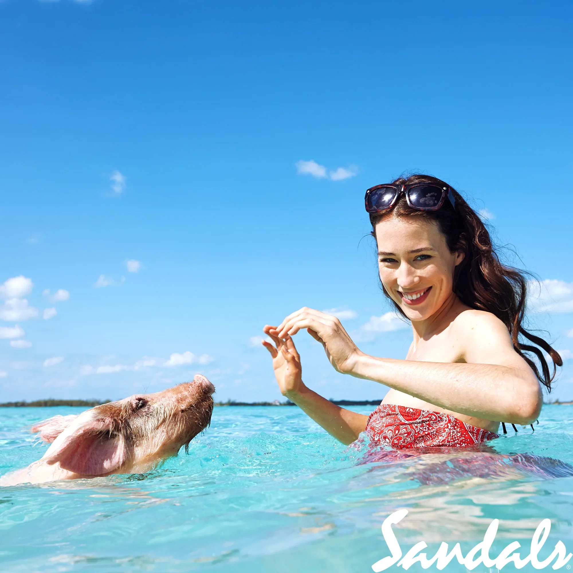 Eine lächelnde Frau mit Sonnenbrille auf dem Kopf steht im kristallklaren Meer und interagiert spielerisch mit einem Schwein, das im Wasser schwimmt. Der sonnige Tag und der blaue Himmel verleihen der Szene eine fröhliche Urlaubsstimmung.