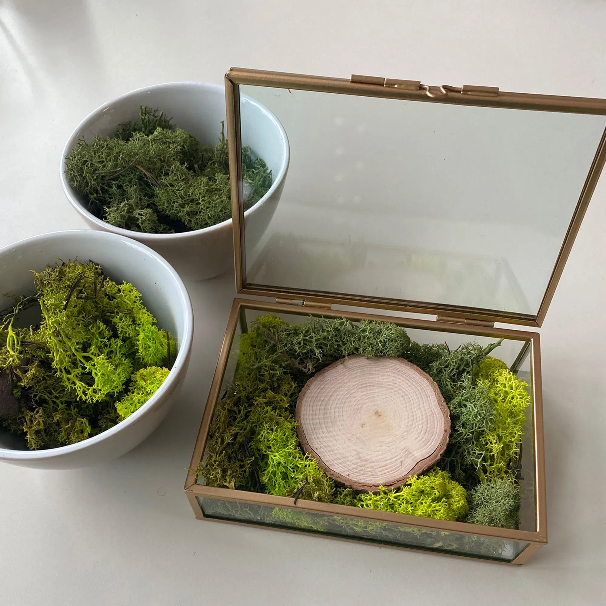 Glaskiste mit Moos und Holzplatte