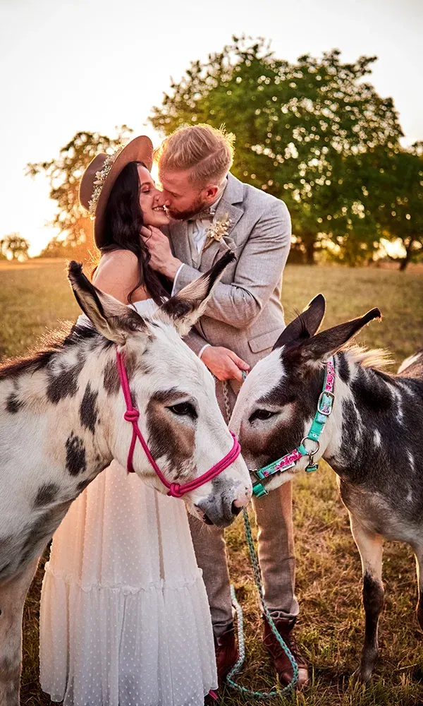 Das Paar, gekleidet in Hochzeitskleidung, steht auf einer Wiese und küsst sich innig. Neben ihnen stehen zwei Esel mit farbigen Halfterzügen, die friedlich auf dem Gras stehen.