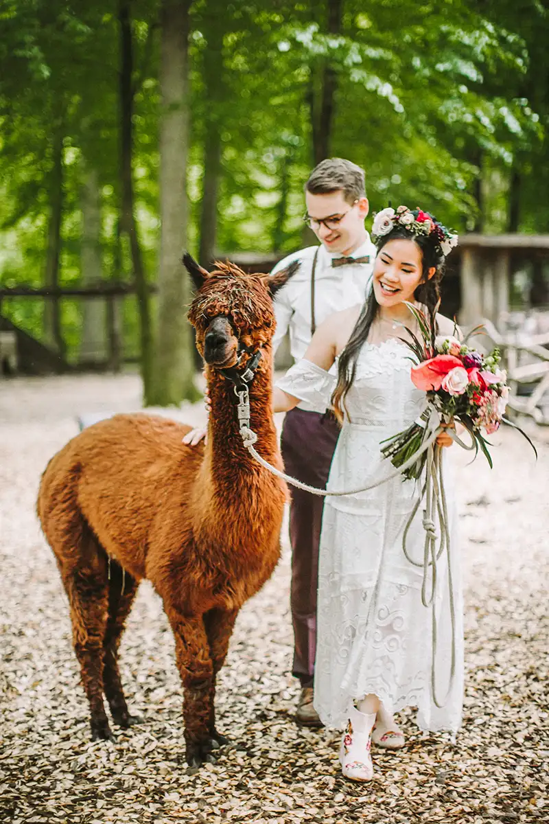 Braut und Bräutigam spazieren mit einem Alpaka durch den Wald bei ihrer Boho-Hochzeit, die Braut trägt einen Blumenkranz, während das Paar entspannt und fröhlich wirkt.