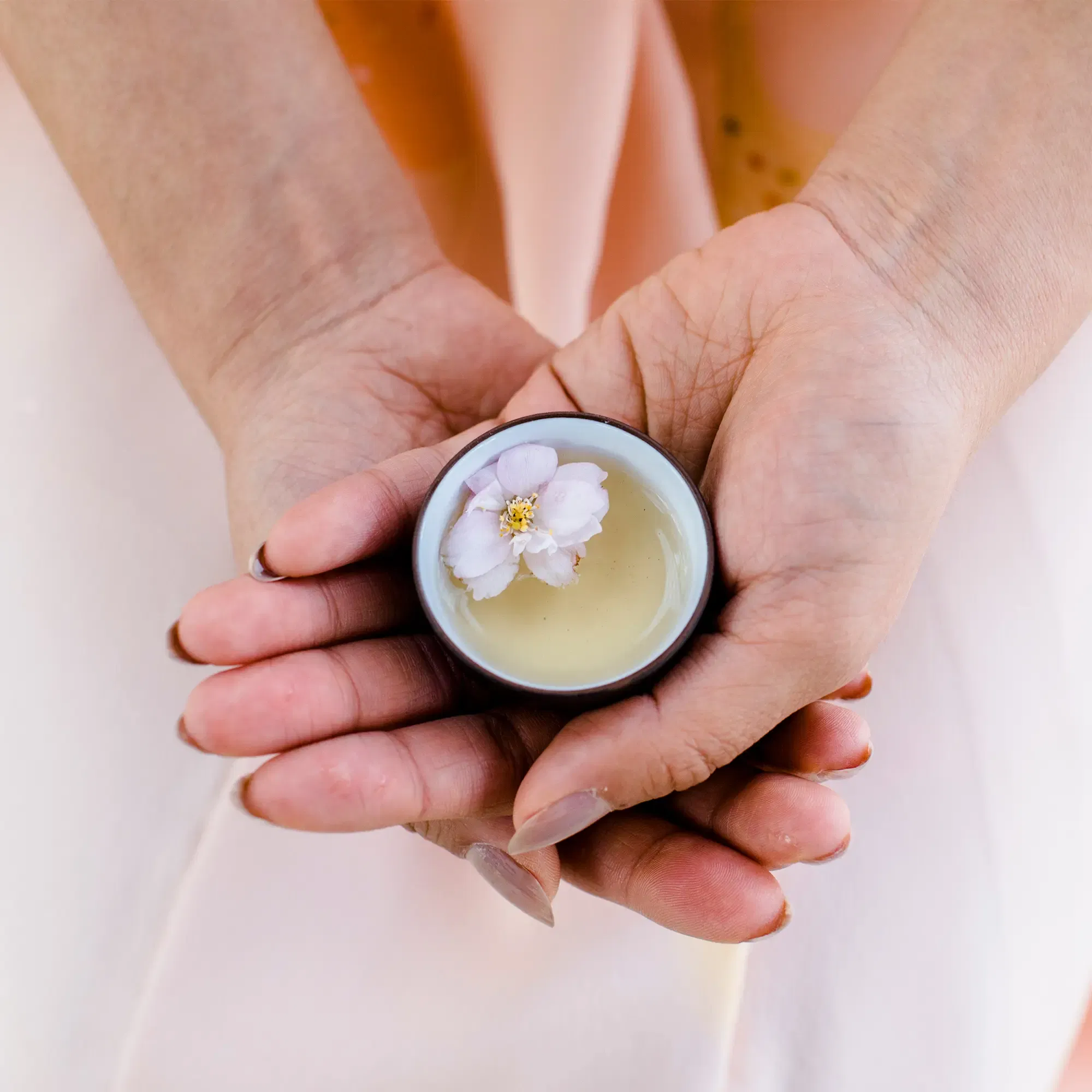 japanische Tee Tasse