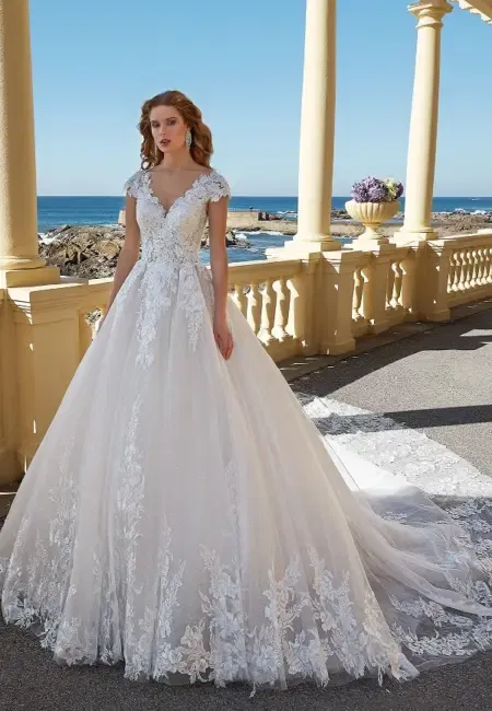 Wedding Dress of Susanna Rivieri