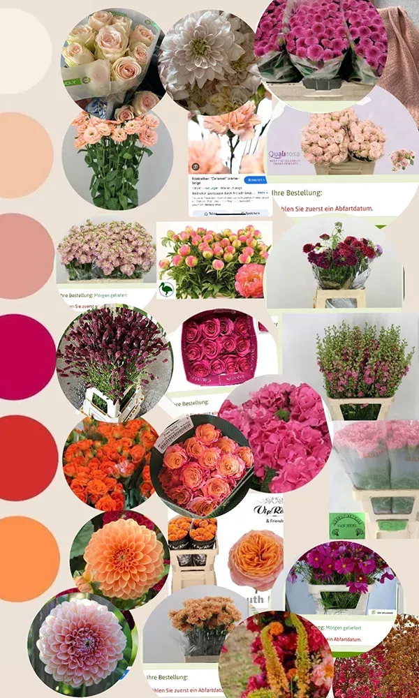 Collage aus verschiedenen Blumenarten in Rosa-, Orange- und Rottönen, die für eine Hochzeitsdekoration ausgewählt wurden. Die Farben sind harmonisch aufeinander abgestimmt und bilden eine lebendige Auswahl.