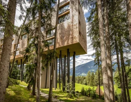 Gewinnt euren traumhaften Honeymoon im exklusiven Baumhotel in Südtirol!