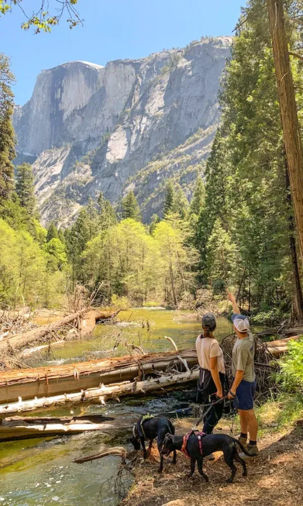 Zwei Personen mit Leinenhunden erkunden ein bewaldetes Tal mit Flusslauf, während sie auf einen hohen Granitfelsen zeigen.