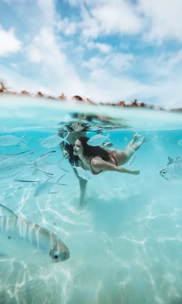Halb untergetauchtes Bild einer Frau, die im seichten Wasser schnorchelt, während Fische elegant um sie herumschwimmen.