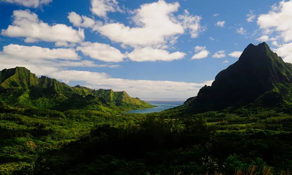 Dschungelbedecktes Gebirge mit tief eingeschnittenem Tal und Aussicht auf das blaue Meer – aufgenommen an einem sonnigen Tag.
