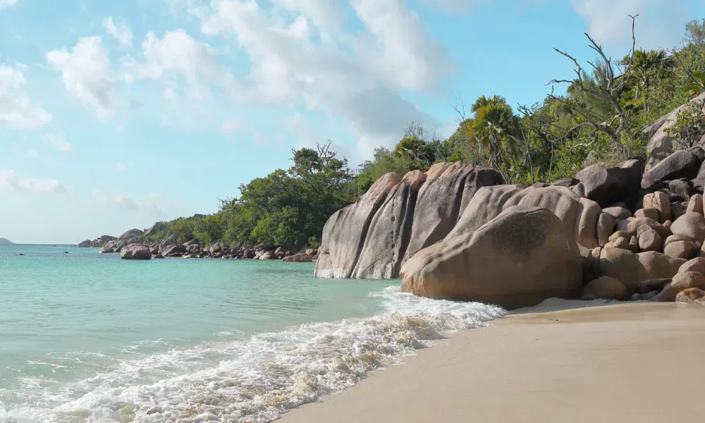 Idyllische Bucht mit feinem Sand, türkisblauem Meer und großen Granitfelsen, die von Palmen und Sträuchern umgeben sind.