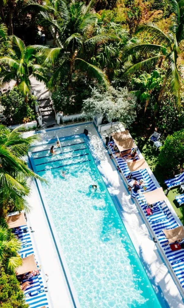 Sonniger Tag in einem tropischen Resort: Menschen entspannen am Pool, der von hohen Palmen und Liegestühlen umgeben ist.