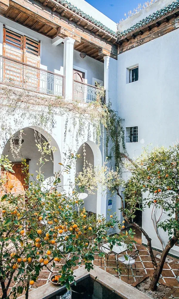 Ein ruhiger, sonniger Riad-Innenhof mit üppigen Zitrusbäumen, Wasserbecken, Rundbögen und marokkanischem Stil.