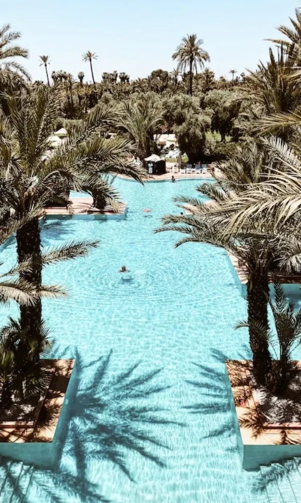 Türkisblaues Wasser in einem weitläufigen Pool, eingerahmt von tropischen Palmen und sommerlichem Flair.