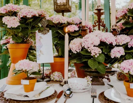 DIY-Tischdekoration zur Hochzeit mit Hortensien im Topf