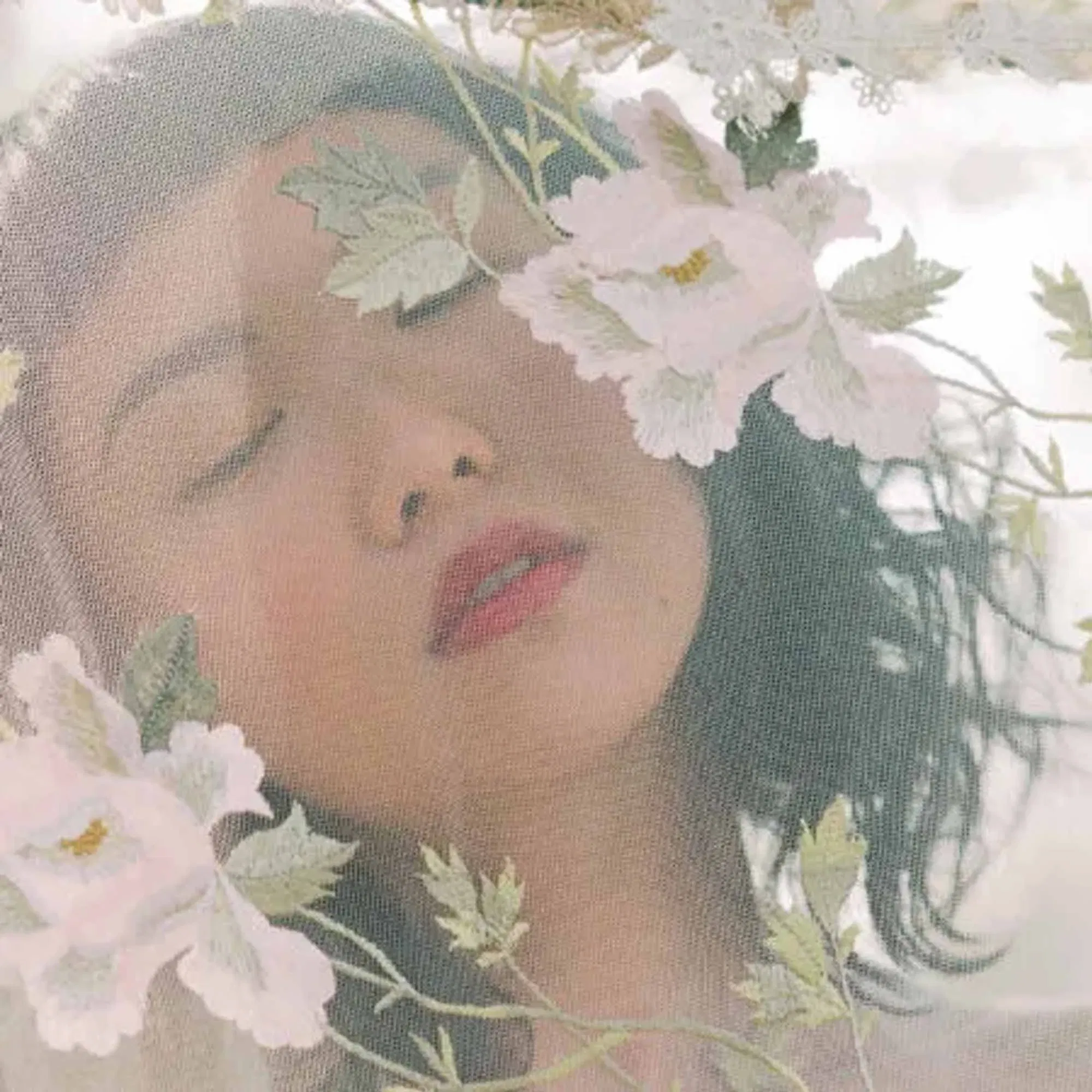 Nahaufnahme eines Gesichts hinter einem durchsichtigen Tüllschleier mit floralen Stickereien – zart und romantisch.