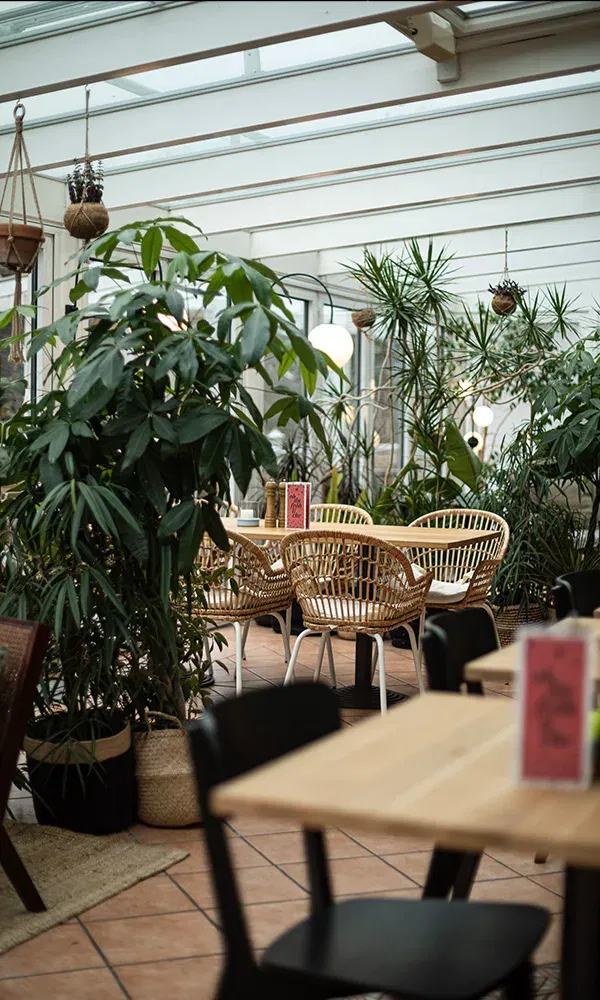 Urban Jungle im Wintergarten des Designhotels – perfekter Spot für eine JGA-Auszeit mit Freund:innen