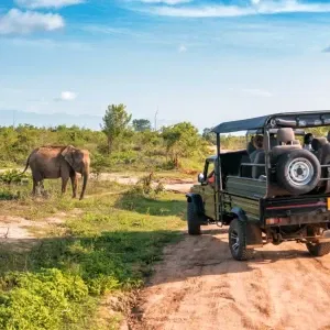 Image for choice number 4