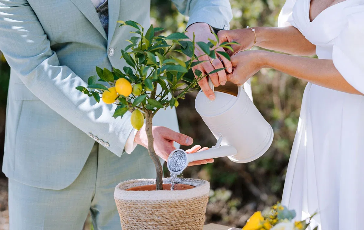 Das Brautpaar gießt gemeinsam den Hochzeitsbaum mit einer Gießkanne und zelebriert damit ein emotionales Ritual für Liebe, Wachstum und den gemeinsamen Lebensweg.